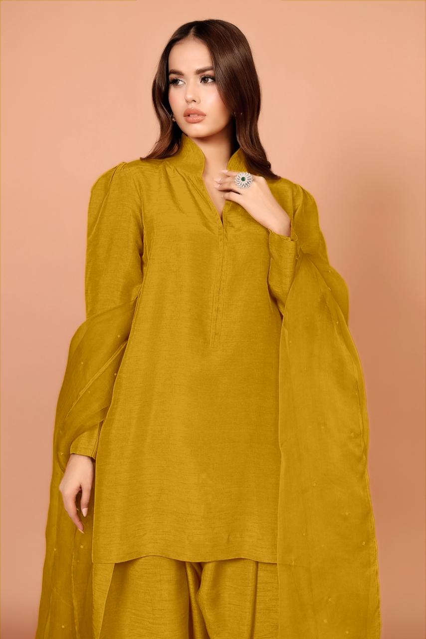 Designer Wear Exclusive Farsi Salwar Suit - Image 11